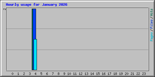 Hourly usage for January 2026